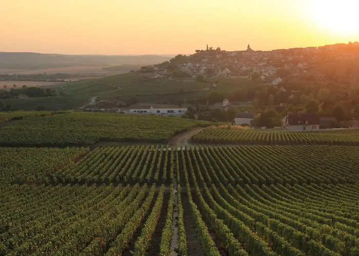 Holiday home De La Vigneronne